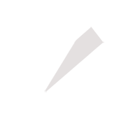 延安临时保镖服务